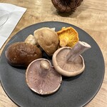 シャントレル - 