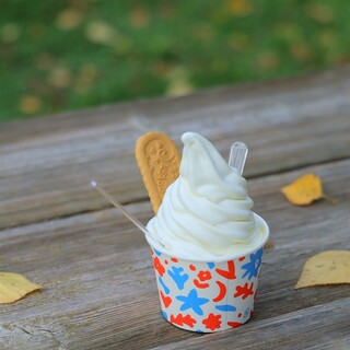 トラピスト修道院 売店_0