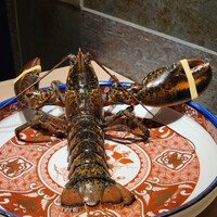 隠れ家鉄板おぶ - 活きオマール海老。かなりな大きさでびっくりした。