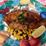 Troubadour - ブラッケンキャットフィッシュ