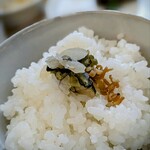 Sincronia di Shinji Harada - ご飯の炊き加減が柔らかかったのは好みではありませんが、お米自体は美味しくて、スグキとジャコ山椒も嬉しかったです。