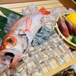 のどぐろ専門 銀座 中俣