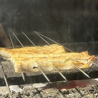 炭焼鰻 寝床 福島店 - 