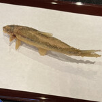 京都祇園 天ぷら八坂圓堂 - 