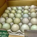 とんかつ一幸 - アロウカナ・ババロアに使われている
      アロウカナの卵♡
      
      ※ とんかつ一幸さんから許可を得て、写真をいただきました…m(_ _)m