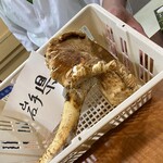 さつま珍味 隆盛 - 
