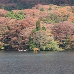 桃源台ビューレストラン - 九頭龍神社の鳥居