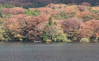 桃源台ビューレストラン - 九頭龍神社の鳥居