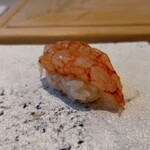 鮨 なんば - 縞海老