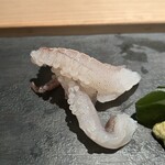 Sushi Yoshi - イカゲソ