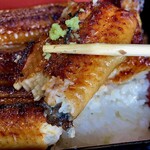 鰻の成瀬 - 中はふんわりした食感