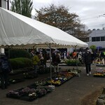 キッチン ブルー グローブ - 産業まつり、警察署側から、園芸品が並ぶ