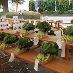 キッチン ブルー グローブ - ほうれん草、小松菜が並びます