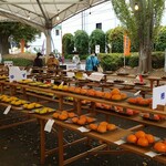 キッチン ブルー グローブ - 色々な野菜が並びます