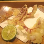 鮨処 音羽別館 - 2013/11月　ゲソ天っす！