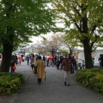 キッチン ブルー グローブ - 公園側は、何があるのか？