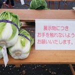 キッチン ブルー グローブ - 野菜は展示用で、購入は出来ない模様！？