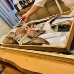 赤吉 - お魚選び