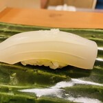 赤吉 - 【写真⑨】甲烏賊(愛媛県今治市)