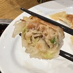 Chuukashokudou Gyouzano Tatsujin - 餃子　断面図