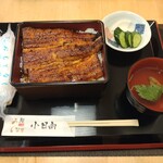 Unagi Kohinata - 