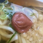 Tsurumaru Udon - 