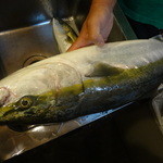 ちゃきちゃき - めじろ