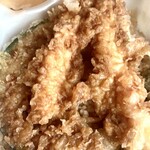 Tendon Tenya - 