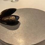 misola - ムール貝のクロケッタ