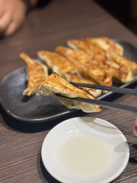 Gyoza Bar