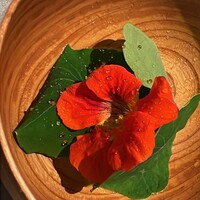 アニエルドール - 