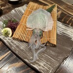 博多 なぎの木 西中洲本店 - 呼子のいか