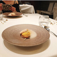 ジョンティ アッシュ - 