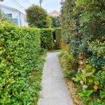 樹庵 - 歩いた先に店内入口