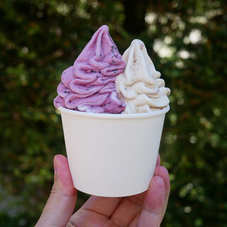 ウッドベリーズ_1