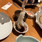 大宮 甲羅本店 - 