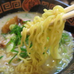 にんにくラーメン 幸ちゃん - にんにくラーメン（豚骨醤油