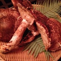 祇園 さゝ木 - 