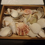 Maison de Fujii - この貝殻の中に焼き立てマドレーヌが隠されてる♪