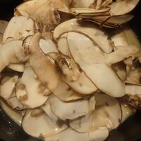 Maison de Fujii - 完成♪