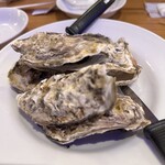 Oyster Bar ジャックポット - 