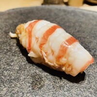 くるますし - 【写真⑱】車海老(愛媛県今治市)