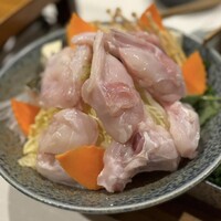 活とらふぐてっちり