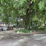 リバーワイルド - 