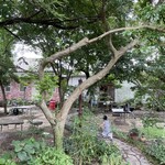 リバーワイルド - 