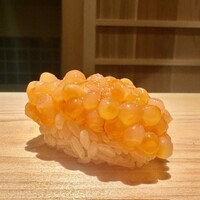 佐野鮨 - 2023.11.  いくら