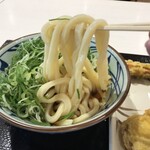 丸亀製麺 - 料理