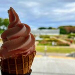 パークスローズガーデン - 料理写真:バラソフト(バラ園を望む)