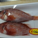閖上 相澤鮮魚店 - 料理写真: