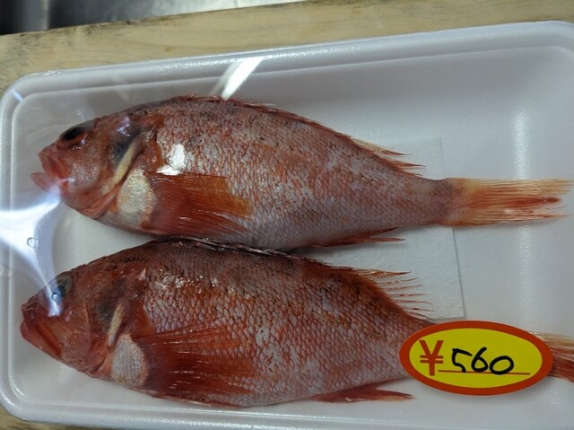 閖上 相澤鮮魚店 &ndash; 南仙台の鮮魚専門店